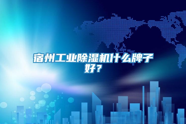 宿州工業(yè)除濕機什么牌子好？