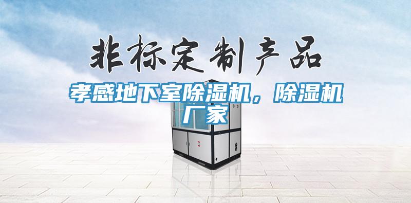 孝感地下室除濕機，除濕機廠(chǎng)家