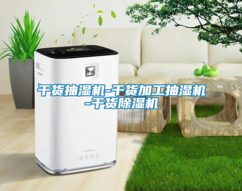 干貨抽濕機-干貨加工抽濕機-干貨除濕機
