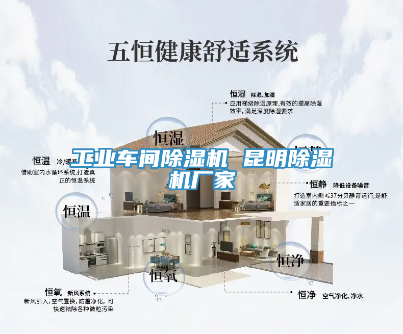 工業(yè)車(chē)間除濕機 昆明除濕機廠(chǎng)家