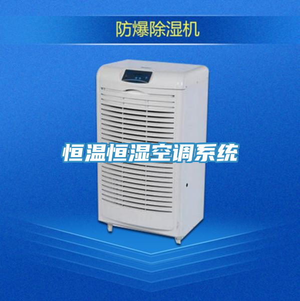 恒溫恒濕空調系統