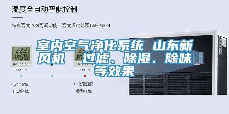 室內空氣凈化系統 山東新風(fēng)機  過(guò)濾、除濕、除味等效果