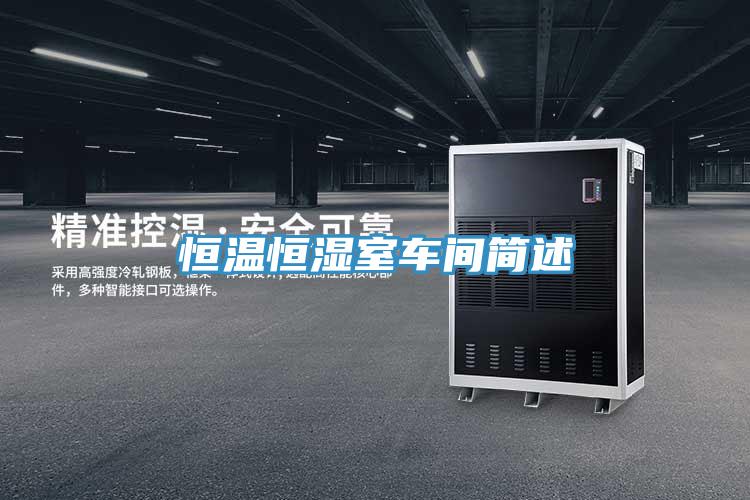 恒溫恒濕室車(chē)間簡(jiǎn)述