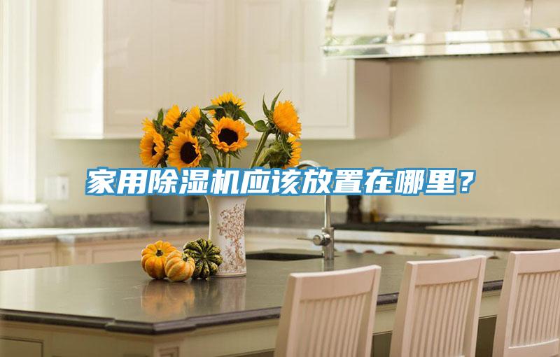 家用除濕機應該放置在哪里？