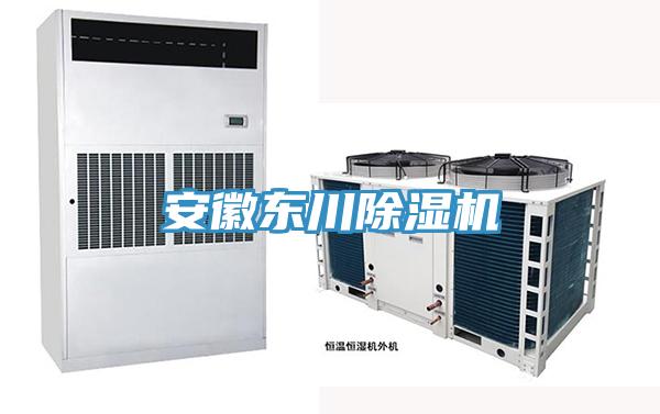 安徽東川除濕機
