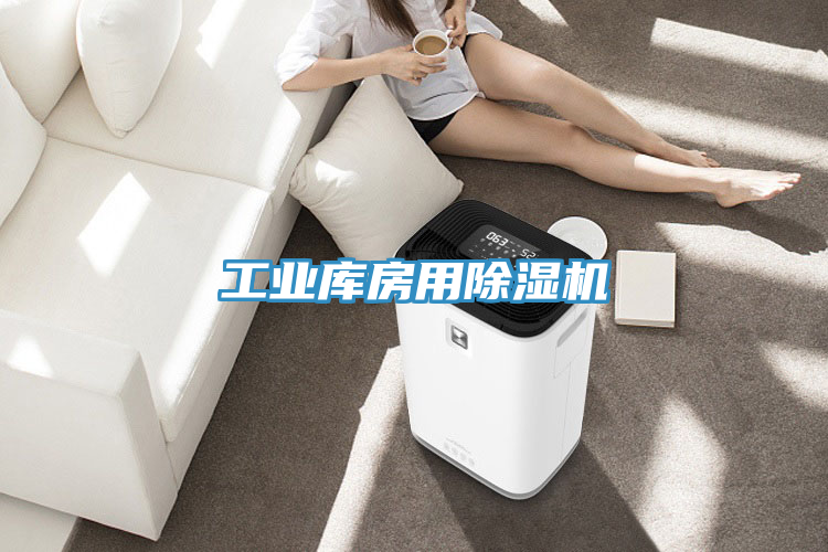 工業(yè)庫房用除濕機