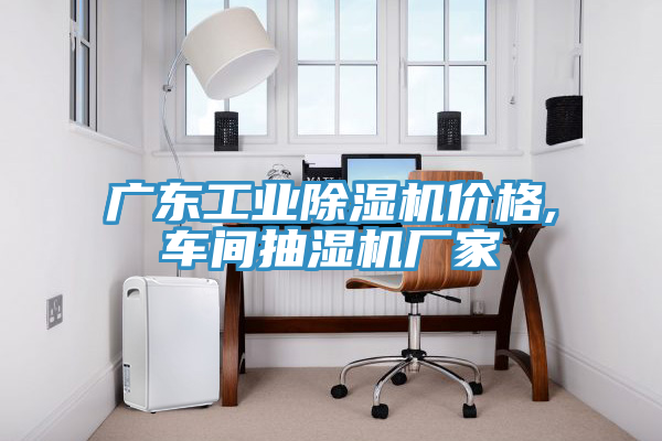 廣東工業(yè)除濕機價(jià)格,車(chē)間抽濕機廠(chǎng)家