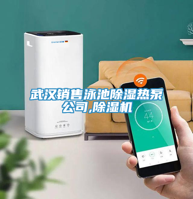 武漢銷(xiāo)售泳池除濕熱泵公司,除濕機