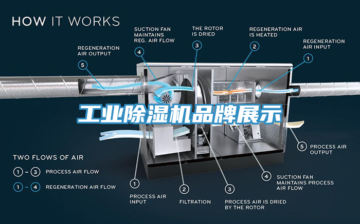 工業(yè)除濕機品牌展示