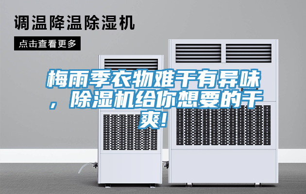 梅雨季衣物難干有異味，除濕機給你想要的干爽!