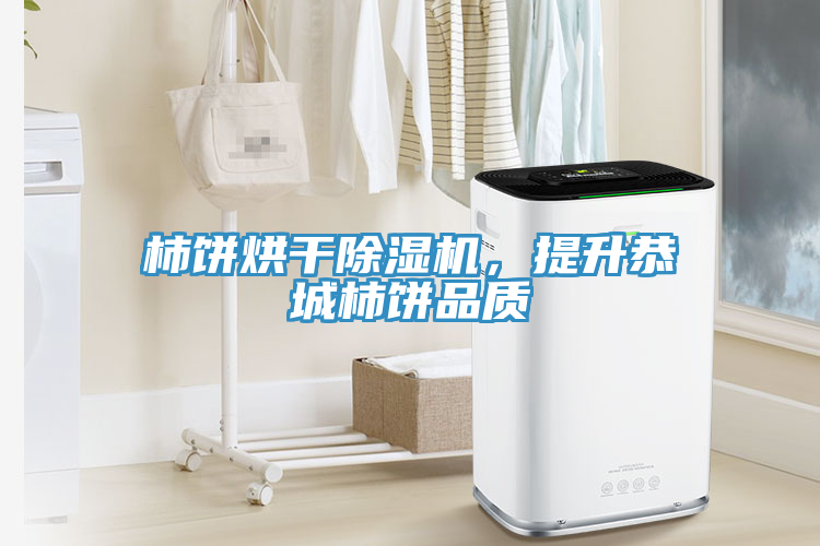 柿餅烘干除濕機，提升恭城柿餅品質(zhì)