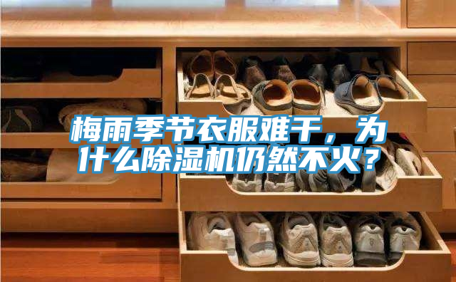 梅雨季節衣服難干，為什么除濕機仍然不火？