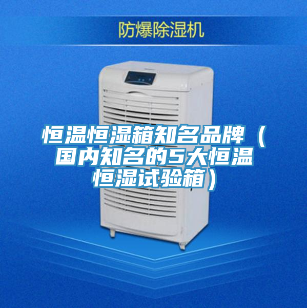 恒溫恒濕箱知名品牌（國內知名的5大恒溫恒濕試驗箱）