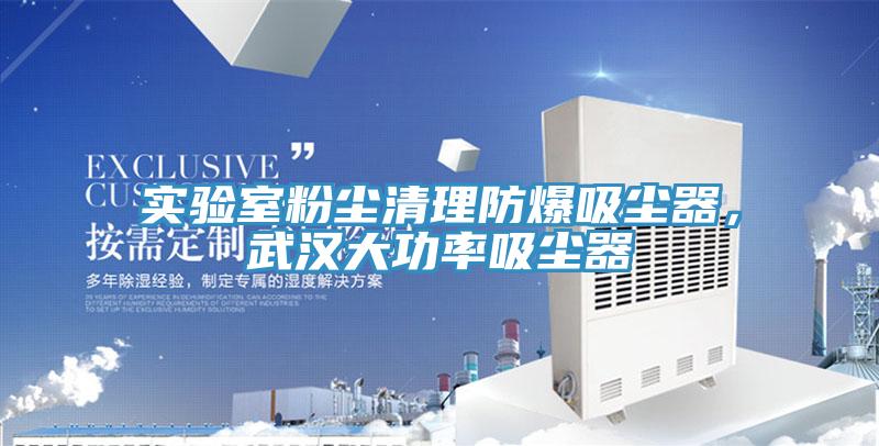 實(shí)驗室粉塵清理防爆吸塵器，武漢大功率吸塵器