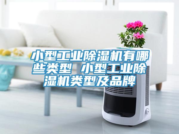 小型工業(yè)除濕機有哪些類(lèi)型 小型工業(yè)除濕機類(lèi)型及品牌