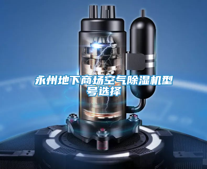 永州地下商場(chǎng)空氣除濕機型號選擇