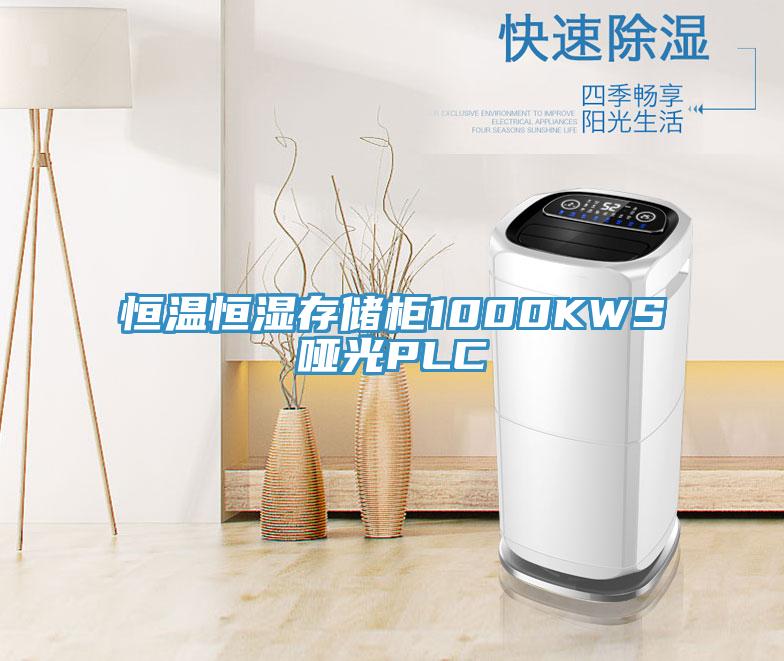 恒溫恒濕存儲柜1000KWS啞光PLC