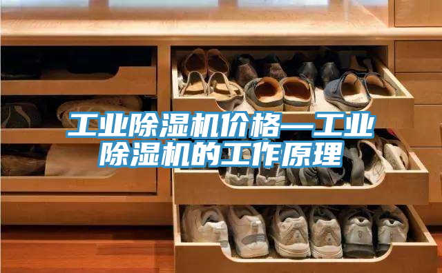 工業(yè)除濕機價(jià)格—工業(yè)除濕機的工作原理