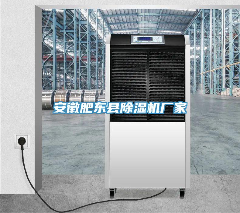 安徽肥東縣除濕機廠(chǎng)家