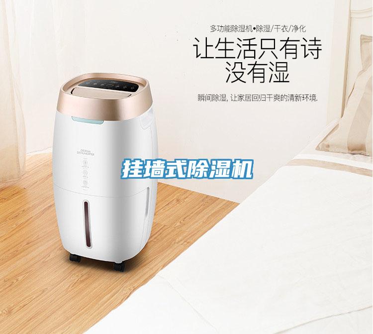 掛墻式除濕機
