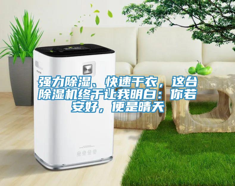 強力除濕、快速干衣，這臺除濕機終于讓我明白：你若安好，便是晴天