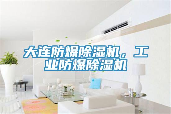 大連防爆除濕機，工業(yè)防爆除濕機