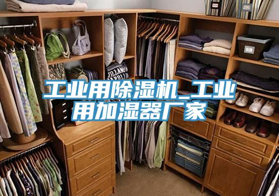 工業(yè)用除濕機_工業(yè)用加濕器廠(chǎng)家