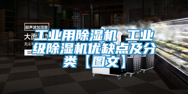 工業(yè)用除濕機 工業(yè)級除濕機優(yōu)缺點(diǎn)及分類(lèi)【圖文】