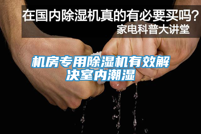 機房專(zhuān)用除濕機有效解決室內潮濕