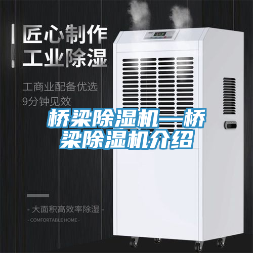 橋梁除濕機—橋梁除濕機介紹