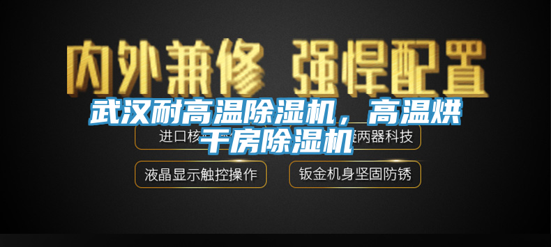 武漢耐高溫除濕機，高溫烘干房除濕機