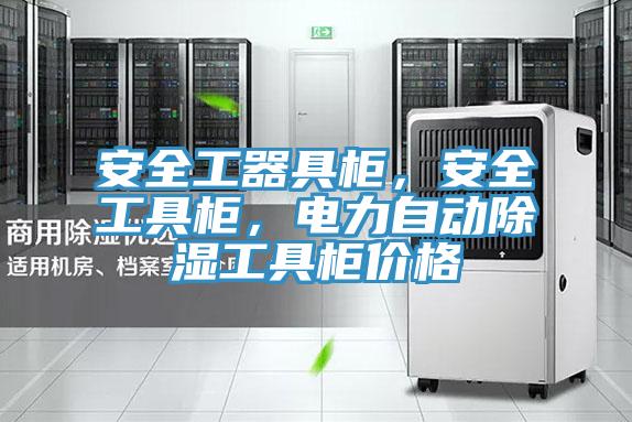 安全工器具柜，安全工具柜，電力自動(dòng)除濕工具柜價(jià)格