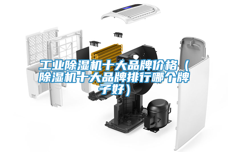 工業(yè)除濕機十大品牌價(jià)格（除濕機十大品牌排行哪個(gè)牌子好）