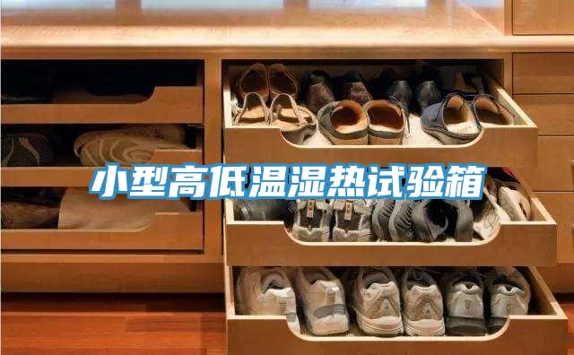 小型高低溫濕熱試驗箱
