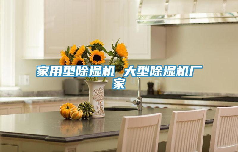 家用型除濕機 大型除濕機廠(chǎng)家