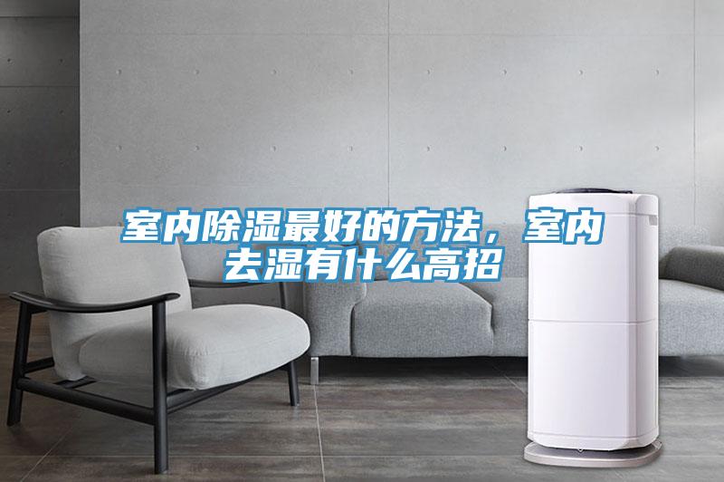 室內除濕最好的方法，室內去濕有什么高招