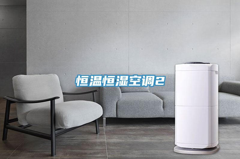 恒溫恒濕空調2