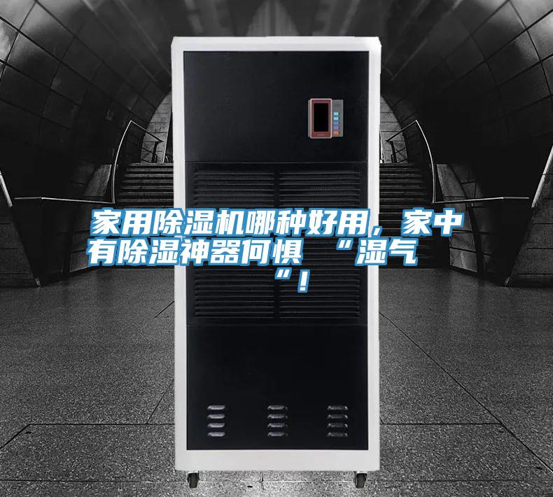 家用除濕機哪種好用，家中有除濕神器何懼 “濕氣 “！