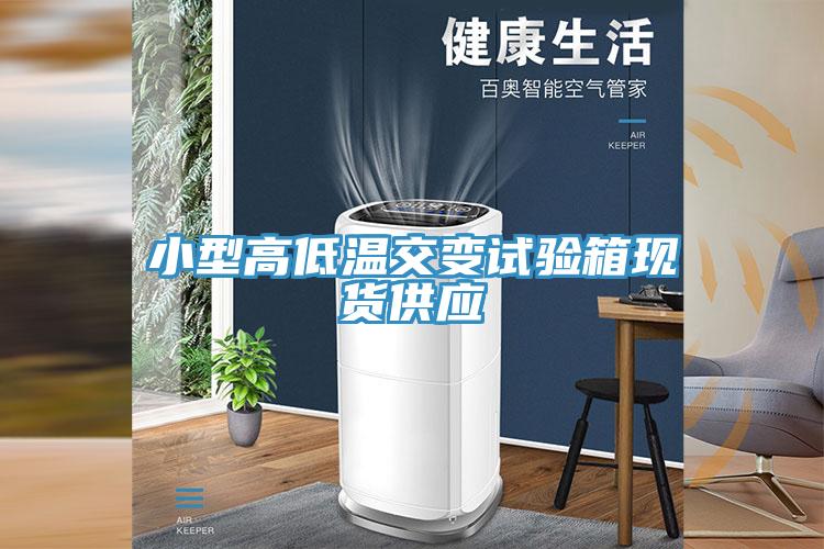 小型高低溫交變試驗箱現貨供應