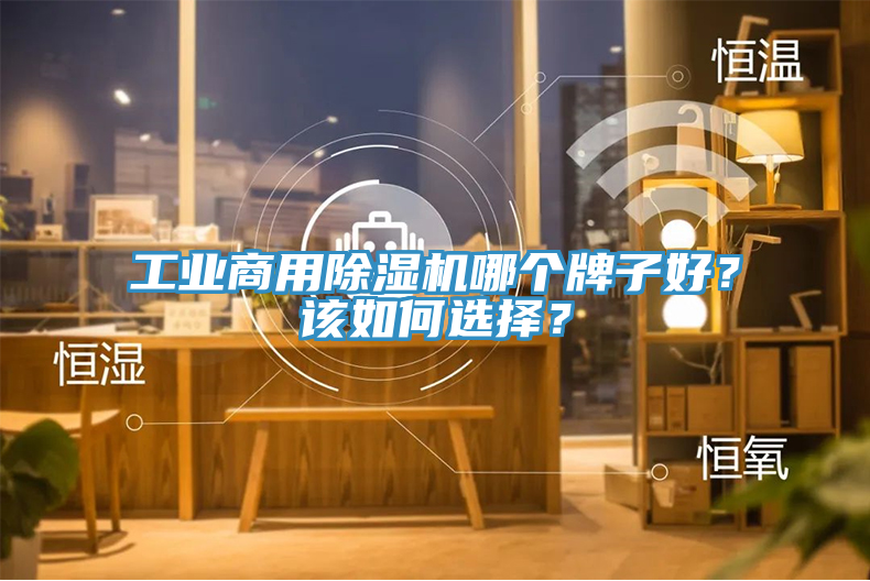 工業(yè)商用除濕機哪個(gè)牌子好？該如何選擇？