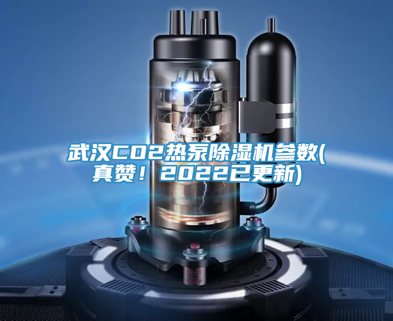 武漢CO2熱泵除濕機參數(真贊！2022已更新)