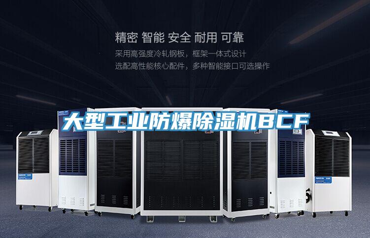 大型工業(yè)防爆除濕機BCF