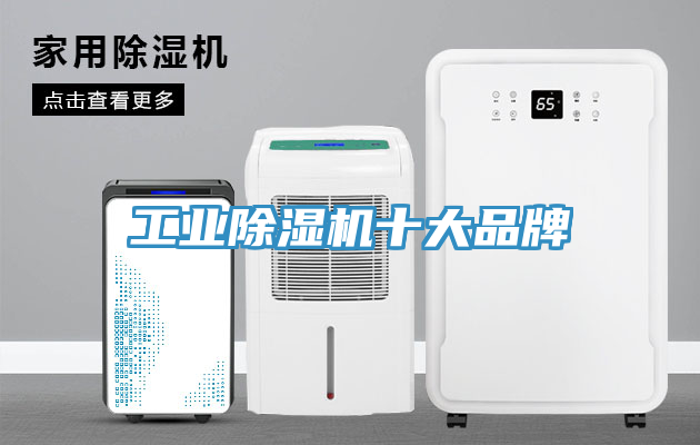 工業(yè)除濕機十大品牌