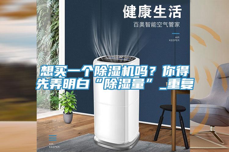 想買(mǎi)一個(gè)除濕機嗎？你得先弄明白“除濕量”_重復