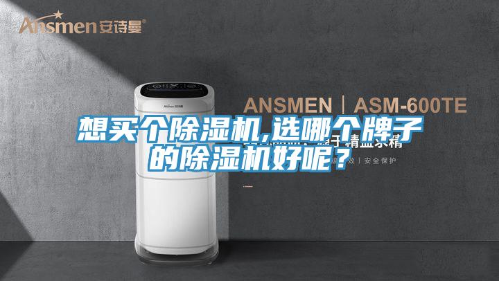 想買(mǎi)個(gè)除濕機,選哪個(gè)牌子的除濕機好呢？