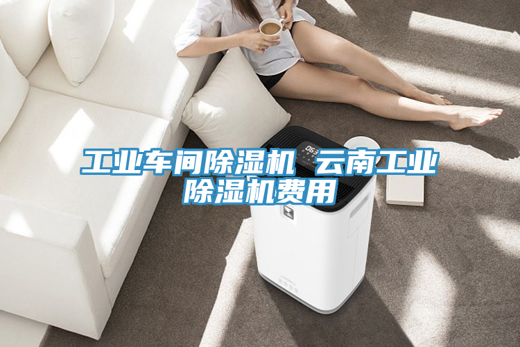 工業(yè)車(chē)間除濕機 云南工業(yè)除濕機費用