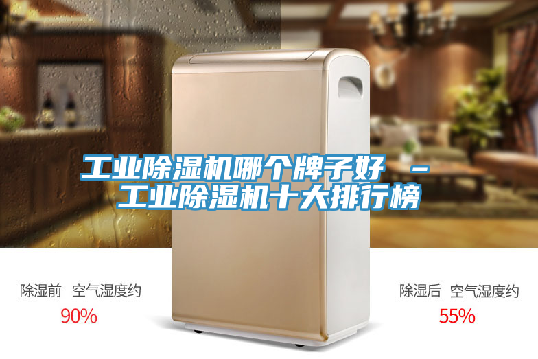 工業(yè)除濕機哪個(gè)牌子好 – 工業(yè)除濕機十大排行榜