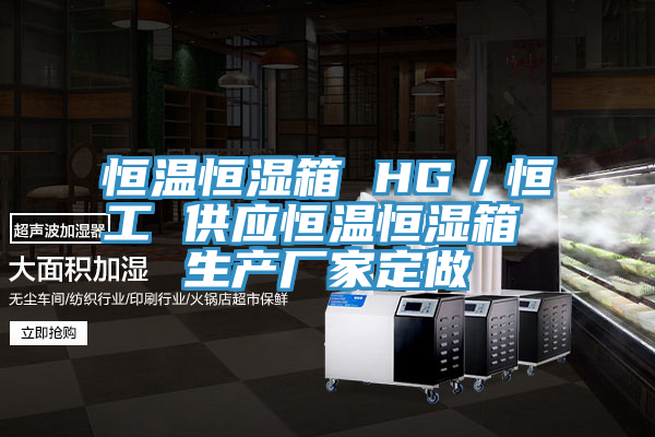 恒溫恒濕箱 HG／恒工 供應恒溫恒濕箱 生產(chǎn)廠(chǎng)家定做