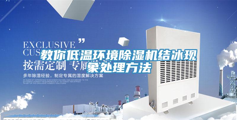 教你低溫環(huán)境除濕機結冰現象處理方法