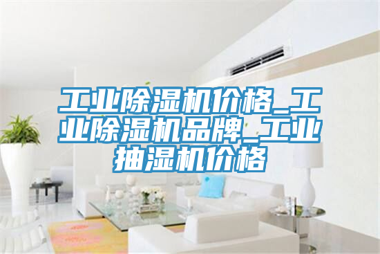 工業(yè)除濕機價(jià)格_工業(yè)除濕機品牌_工業(yè)抽濕機價(jià)格